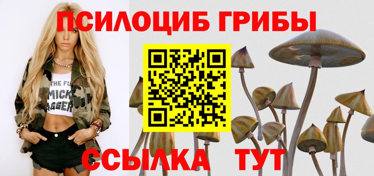 Галлюциногенные грибы прущие грибы  Вход с VPN  магазин продажи   Галлюциногенные грибы Psilocybine cubensis  Орехово-Зуево 
